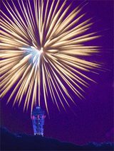 050802������ֲ�