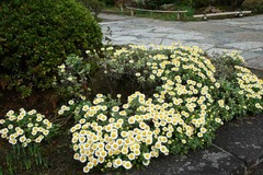 111109��¢����������Υ�����