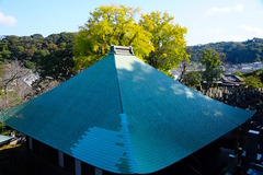 151112Ĺ��������2