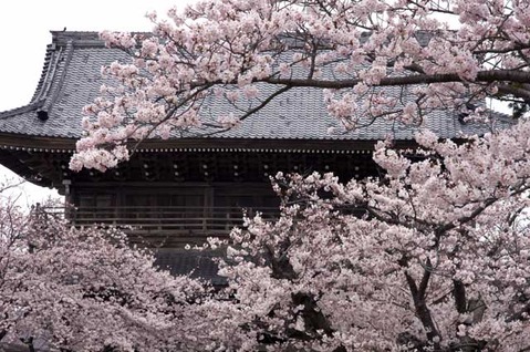 110410������������2