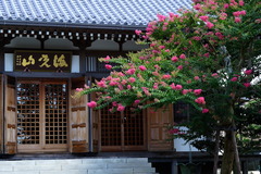 160804Ĺë�����륹�٥�2