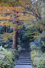 071224����������