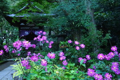 141019�߳л����奦�ᥤ����