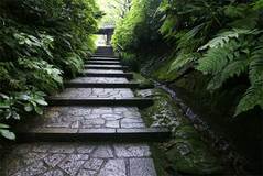 090704��������ƻ��