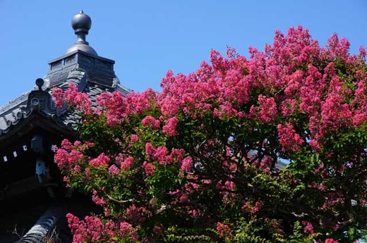 110810�ܳл����륹�٥�1