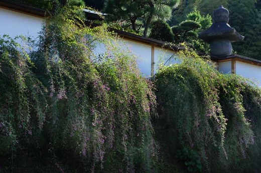 131007��Ĺ���ϥ�