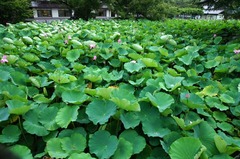 110720��ʿ�ӥϥ�3