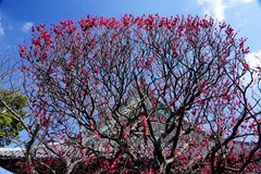 130305Êõ²ü»û¥¦¥á2