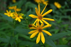 140831���һ����⥮��