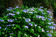 150621��Ļ���������2