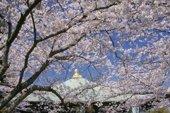 120409Ĺ����������3