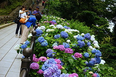 190611À®½¢±¡¥¢¥¸¥µ¥¤1