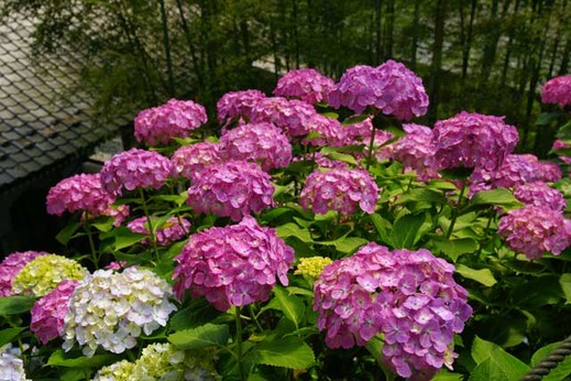 120615Ĺë����������3