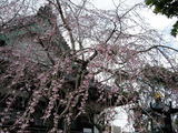 060319�ܳл��������