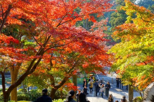 231127�߳л�����2