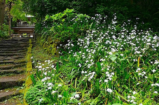 240421���һ����㥬1