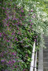 070926Ĺë���ϥ�