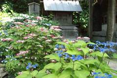 100612������ҥ�������