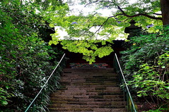 221015妙本寺1