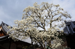 160321�߳л��ϥ��⥯���