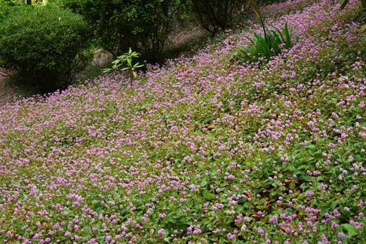 111102�߳л��ҥ�ĥ륽��