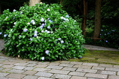 160626̯�ܻ���������2