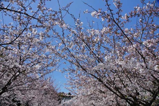 120407��Ĺ��������2