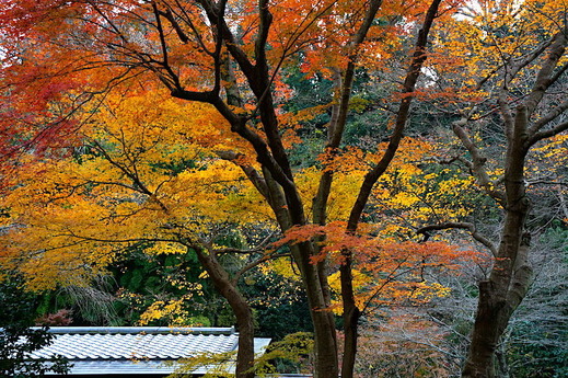 161219����������1