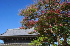 130818���������륹�٥�