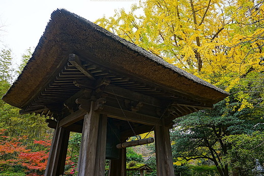 181203��������1