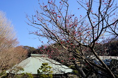 160128��̯�������Х�