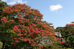 3ee6bb93�Υ���゚��