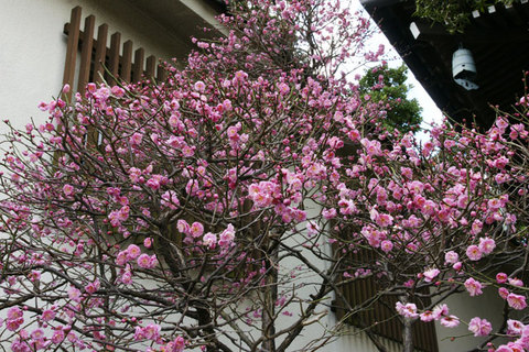 090124�ܳл����ᣱ