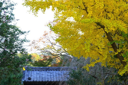 161117�¹���������