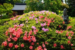 130526��¢�����ĥ�