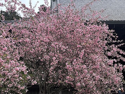 240406̯�ܻ������ɥ�