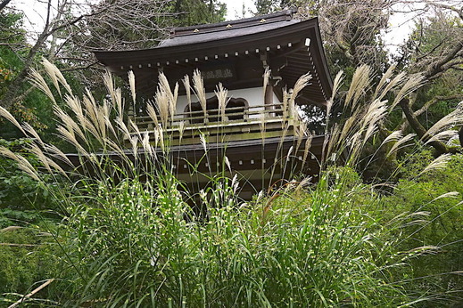 211016���һ�������