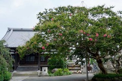 �ܶ������륹�٥�