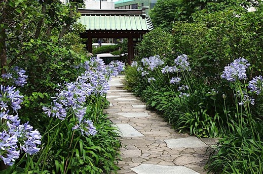 160626�繪�������ѥ󥵥�1