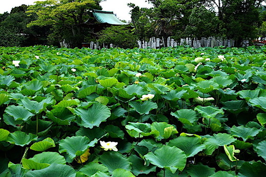 190713��ʿ�ӥϥ�