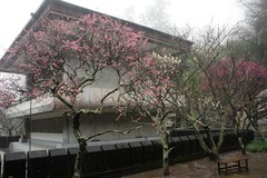 120317̯�ܻ�����3