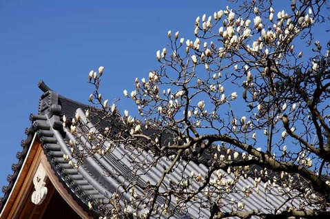 110326�߳л��ϥ��⥯���