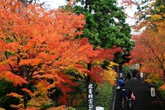 141201�߳л�����6