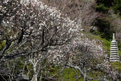 130228Ĺë������1