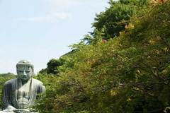 090815��ʩ���륹�٥�