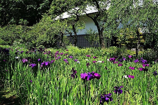 160602��Ļ��ϥʥ��祦��