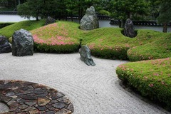 110524光明寺サツキ2