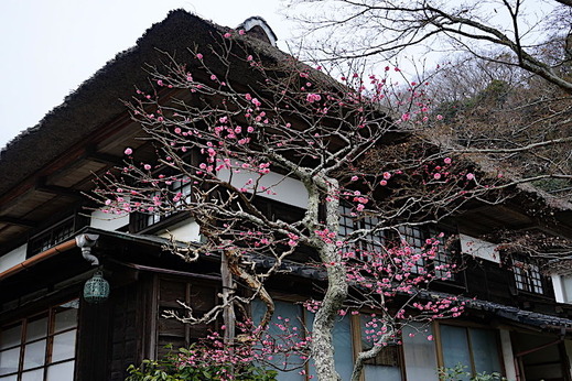 190211��¢������3