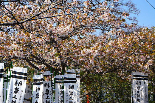 220324�ᲬȬȨ�ܥ�����1