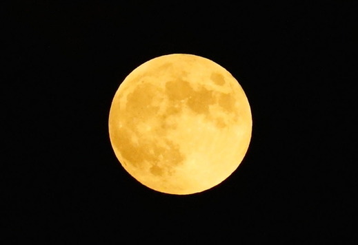 141008���𤫤������